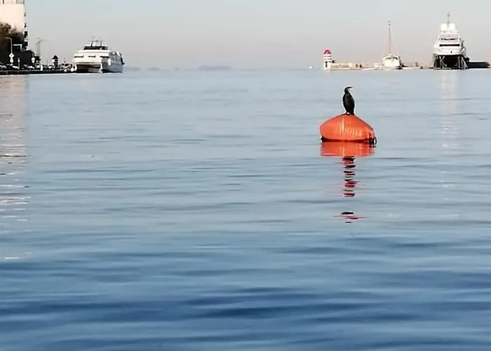 דירה Nora - Modern Cozy With Free Parking And Terrace